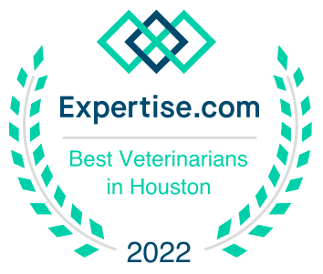 Best Veterinarians in Houston