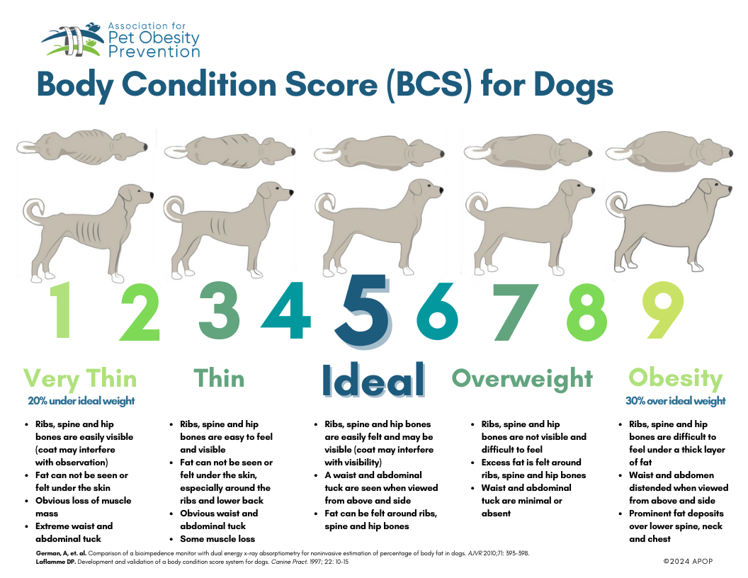 Graph of Canine weight