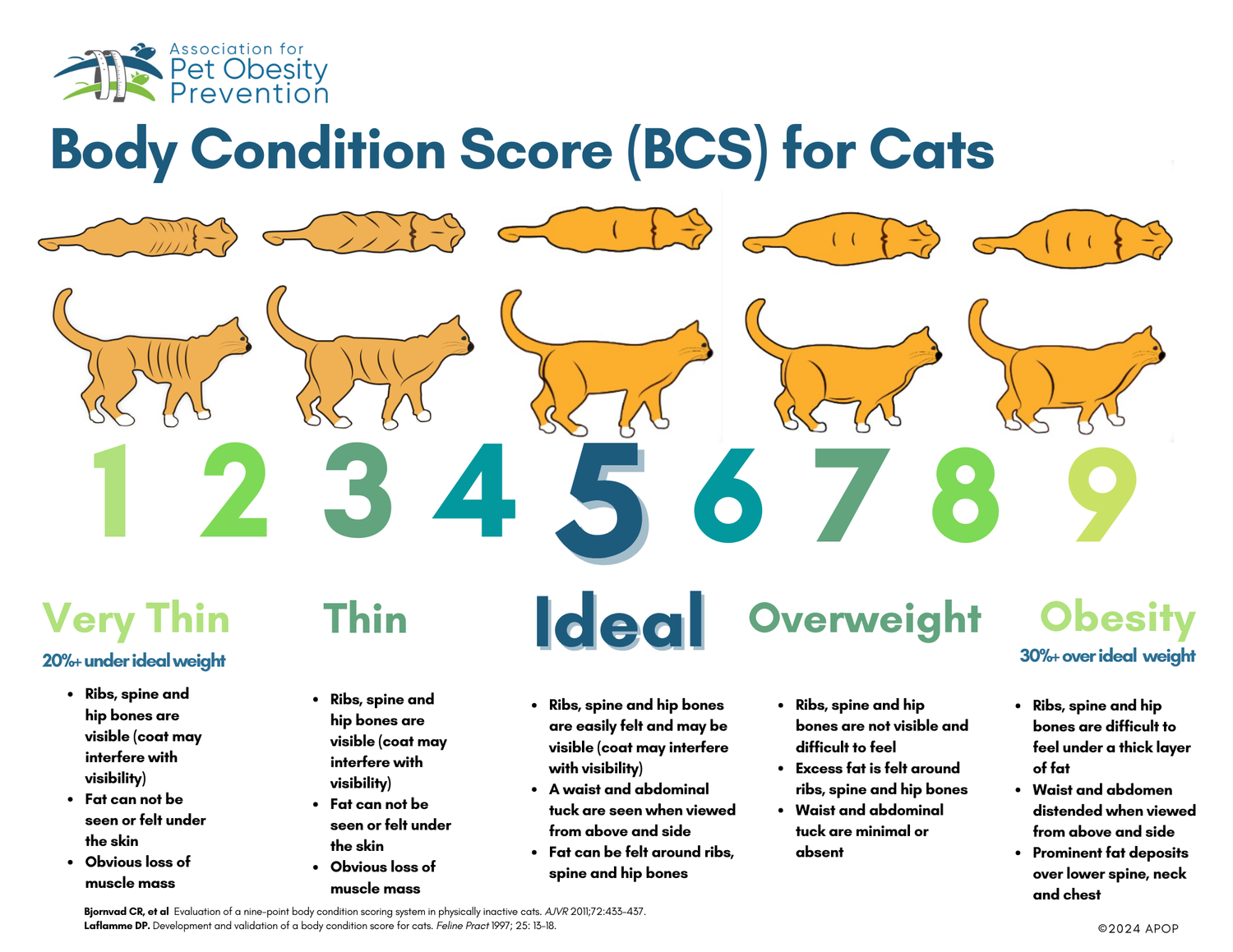 Graph of feline weight