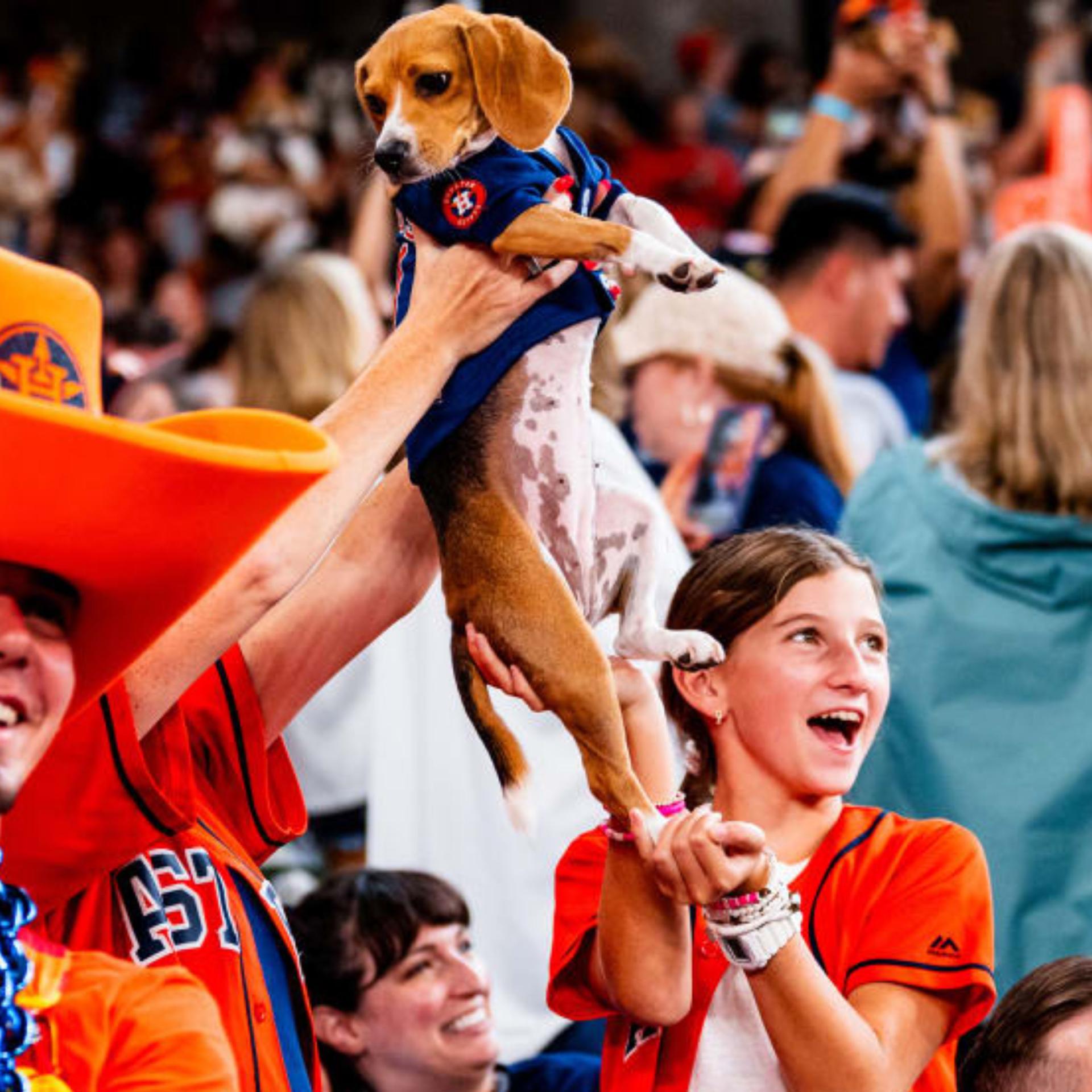 Astros Dog Day