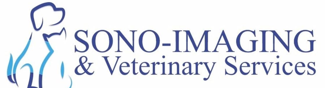 Ultrasound company logo