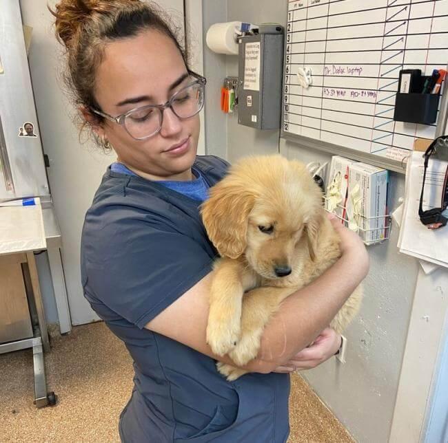 Veterinarian in Houston TX