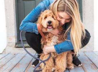 Addison&#039;s Disease in Dogs: What Every Pet Parent Should Know