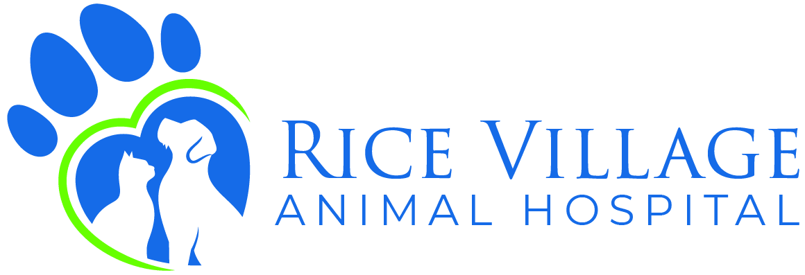 Rice Village Animal Hospital