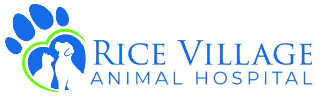 Rice Village Animal Hospital